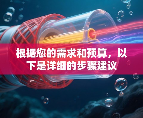 根据您的需求和预算，以下是详细的步骤建议