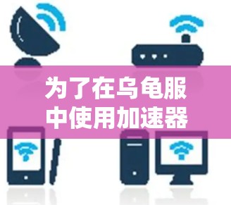 为了在乌龟服中使用加速器，您可以按照以下步骤操作