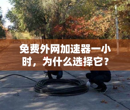 免费外网加速器一小时,为什么选择它? 免费外网加速器一小时,为什么选择它?