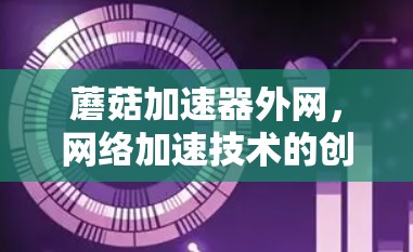 蘑菇加速器外网,网络加速技术的创新与应用解析 蘑菇加速器外网,网络加速技术的创新与应用解析