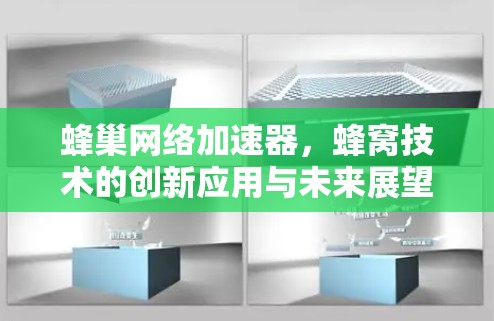 蜂巢网络加速器，蜂窝技术的创新应用与未来展望