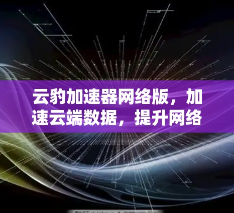 云豹加速器网络版，加速云端数据，提升网络速度