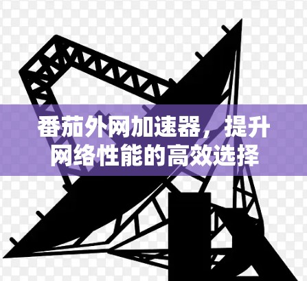番茄外网加速器，提升网络性能的高效选择