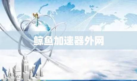 鲸鱼加速器外网 鲸鱼加速器外网