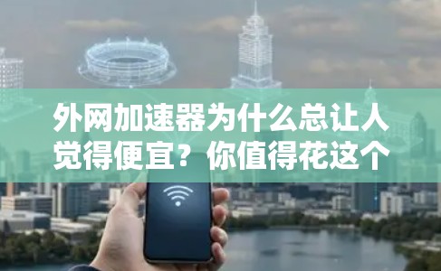 外网加速器为什么总让人觉得便宜？你值得花这个钱吗？