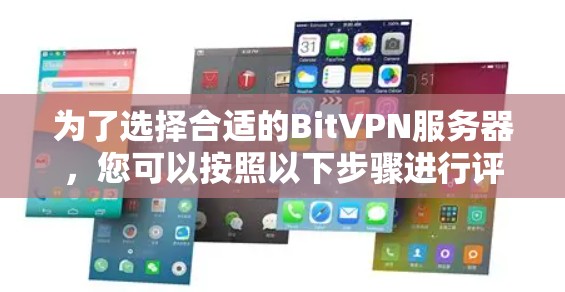 为了选择合适的BitVPN服务器，您可以按照以下步骤进行评估
