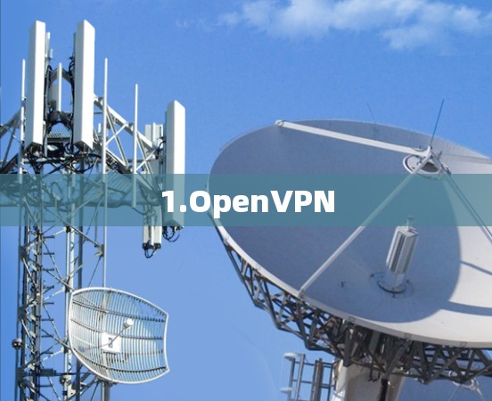 1.OpenVPN 1.OpenVPN