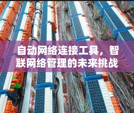 自动网络连接工具，智联网络管理的未来挑战与解决方案
