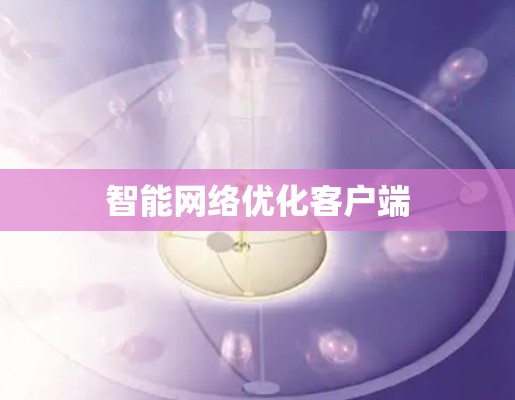 智能网络优化客户端 智能网络优化客户端
