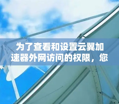 为了查看和设置云翼加速器外网访问的权限，您可以按照以下步骤操作
