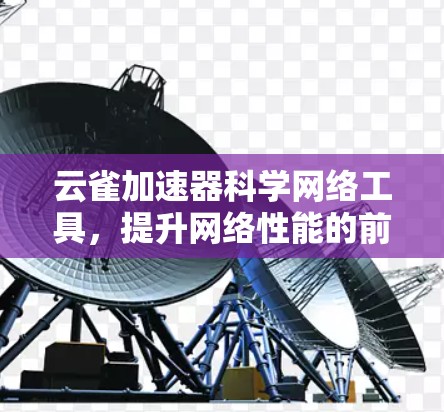 云雀加速器科学网络工具,提升网络性能的前沿解决方案 云雀加速器科学网络工具,提升网络性能的前沿解决方案