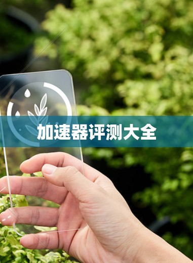 加速器评测大全