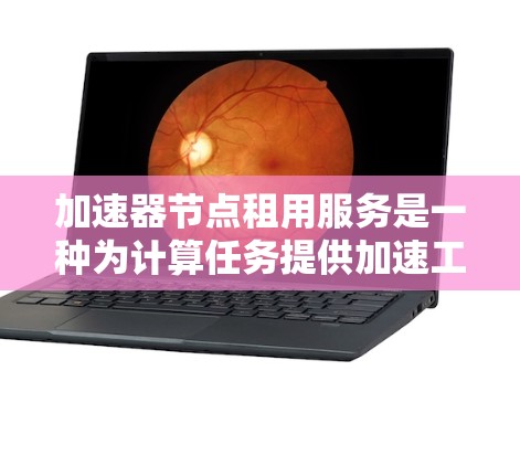 加速器节点租用服务是一种为计算任务提供加速工具的解决方案。以下是详细的解释 加速器节点租用服务是一种为计算任务提供加速工具的解决方案。以下是详细的解释
