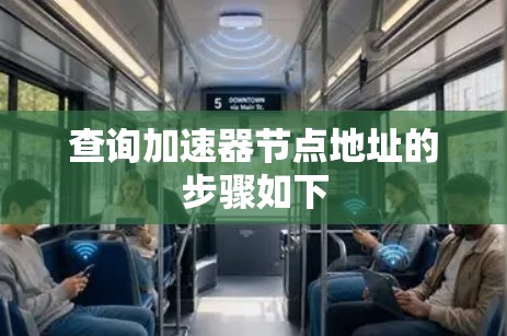 查询加速器节点地址的步骤如下