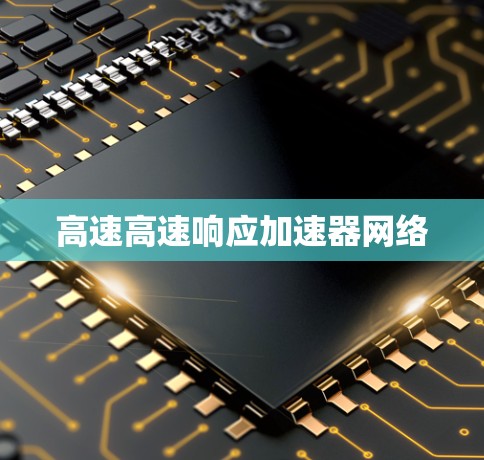 高速高速响应加速器网络 高速高速响应加速器网络