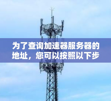 为了查询加速器服务器的地址，您可以按照以下步骤进行操作