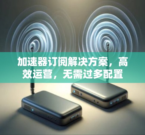 加速器订阅解决方案，高效运营，无需过多配置