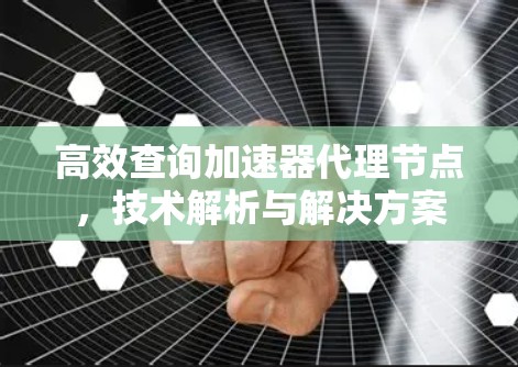 高效查询加速器代理节点，技术解析与解决方案
