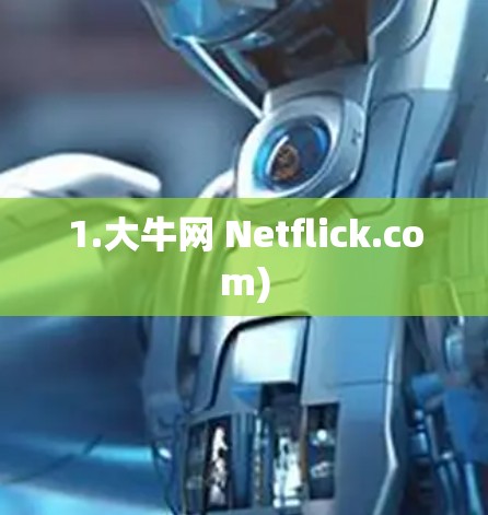 1.大牛网 Netflick.com) 1.大牛网 Netflick.com)