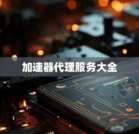 加速器代理服务大全