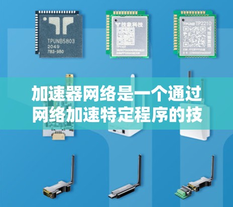 加速器网络是一个通过网络加速特定程序的技术体系，涵盖多个领域的合作与协作。以下是该网络的主要组成部分及其功能