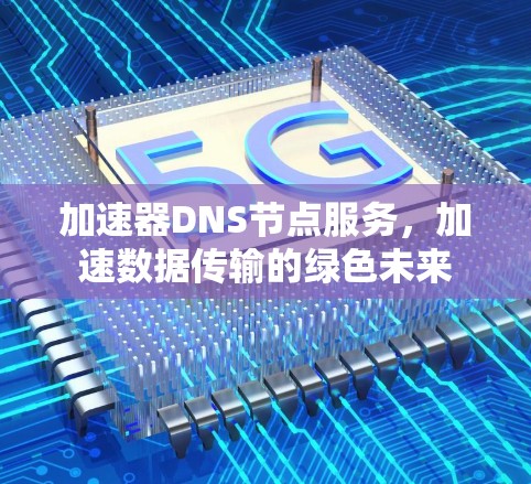 加速器DNS节点服务，加速数据传输的绿色未来