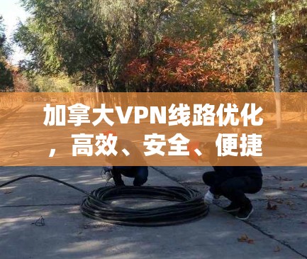 加拿大VPN线路优化,高效、安全、便捷 加拿大VPN线路优化,高效、安全、便捷