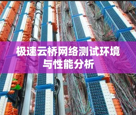极速云桥网络测试环境与性能分析 极速云桥网络测试环境与性能分析