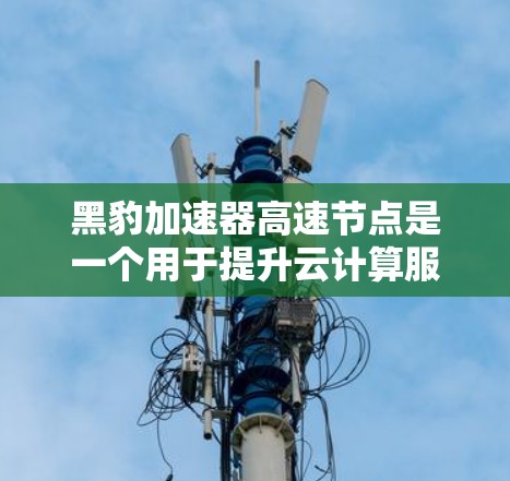 黑豹加速器高速节点是一个用于提升云计算服务器到云端性能的硬件设备，旨在解决服务器到云平台的加速问题。以下是关于该设备的详细信息