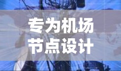 专为机场节点设计的黑豹VPN服务器推荐