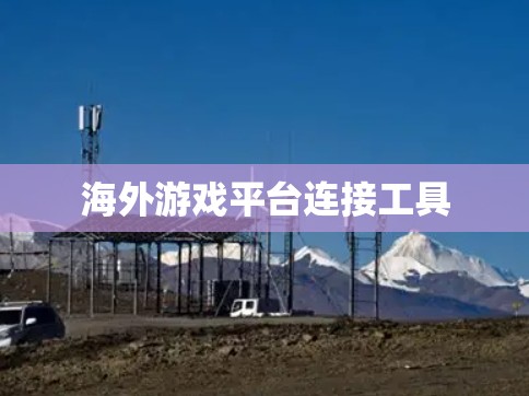 海外游戏平台连接工具 海外游戏平台连接工具