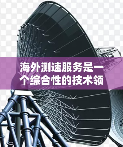 海外测速服务是一个综合性的技术领域，旨在确保车辆和飞机在复杂环境下的安全和高效运行。以下是对该领域的详细介绍