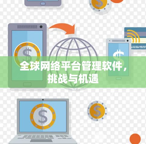 全球网络平台管理软件，挑战与机遇