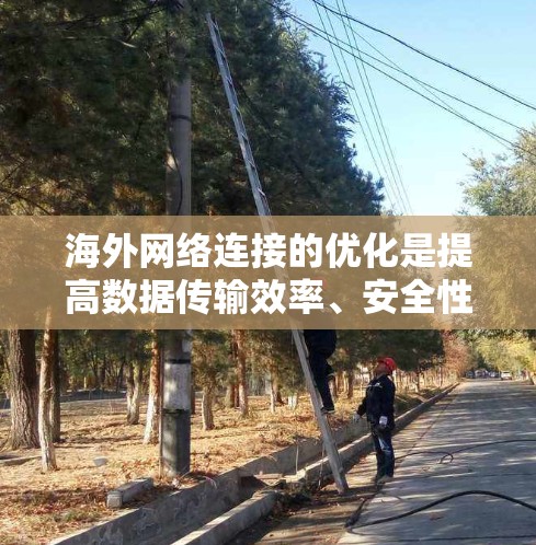 海外网络连接的优化是提高数据传输效率、安全性的重要方面。以下是一些关键点和方法，帮助你优化海外网络连接