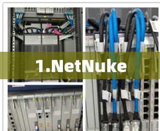 1.NetNuke