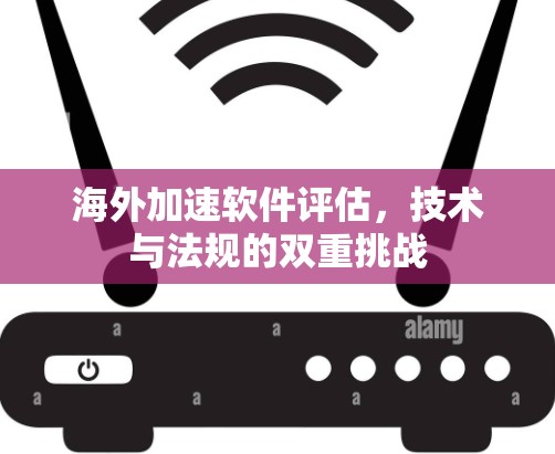 海外加速软件评估,技术与法规的双重挑战 海外加速软件评估,技术与法规的双重挑战