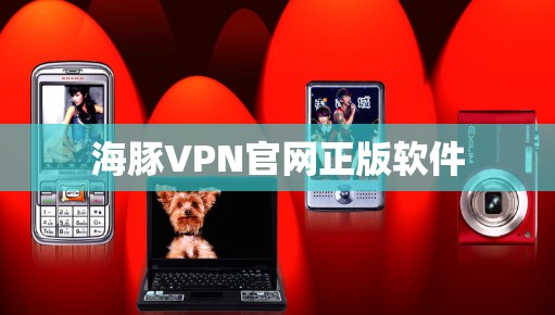 海豚VPN官网正版软件 海豚VPN官网正版软件