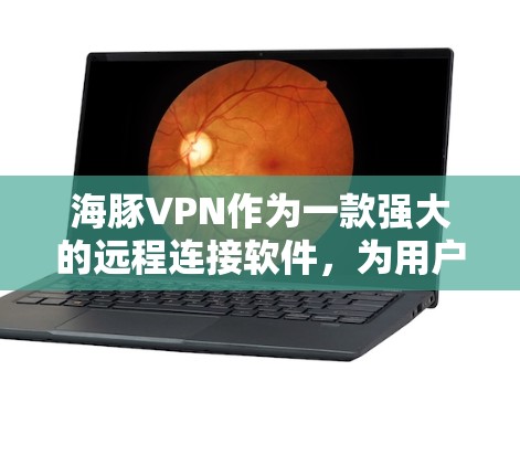 海豚VPN作为一款强大的远程连接软件，为用户提供了丰富的连接选项。如果您选择使用翻墙软件，可以选择适合自己的平台和需求。以下是一些推荐的翻墙软件，供您参考