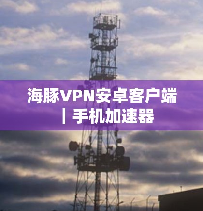 海豚VPN安卓客户端｜手机加速器