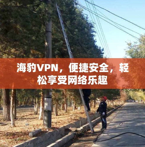 海豹VPN,便捷安全,轻松享受网络乐趣 海豹VPN,便捷安全,轻松享受网络乐趣