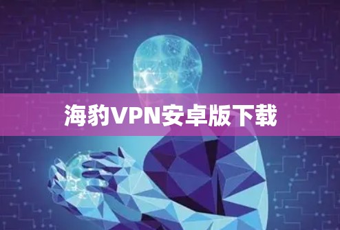 海豹VPN安卓版下载 海豹VPN安卓版下载
