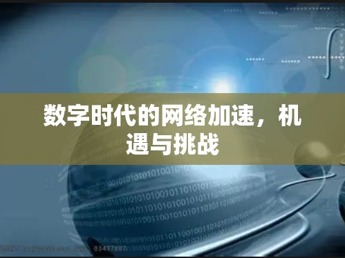数字时代的网络加速，机遇与挑战