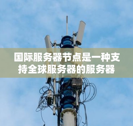 国际服务器节点是一种支持全球服务器的服务器，通过网络连接到多个本地服务器节点共同运行。以下是其关键功能和步骤