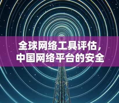 全球网络工具评估，中国网络平台的安全性与性能评估