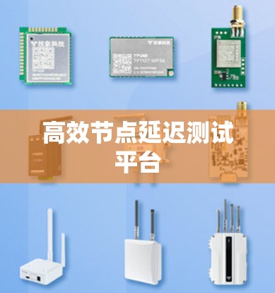 高效节点延迟测试平台 高效节点延迟测试平台