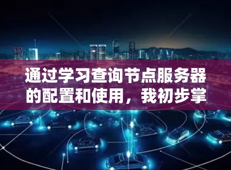 通过学习查询节点服务器的配置和使用，我初步掌握了其基本功能和配置参数。以下是对我的学习过程总结和总结性的答案