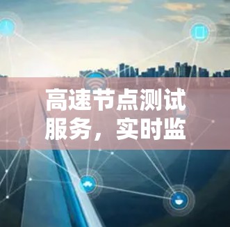 高速节点测试服务，实时监控与性能优化